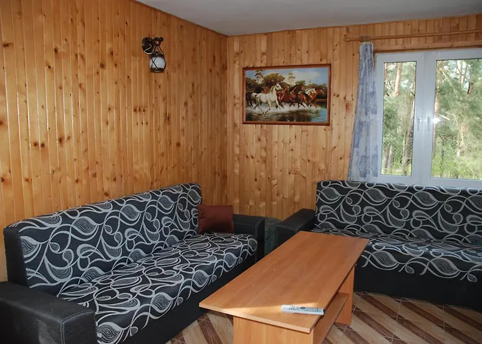 Domyletnie Dom 140 M2 Z Dzialka *